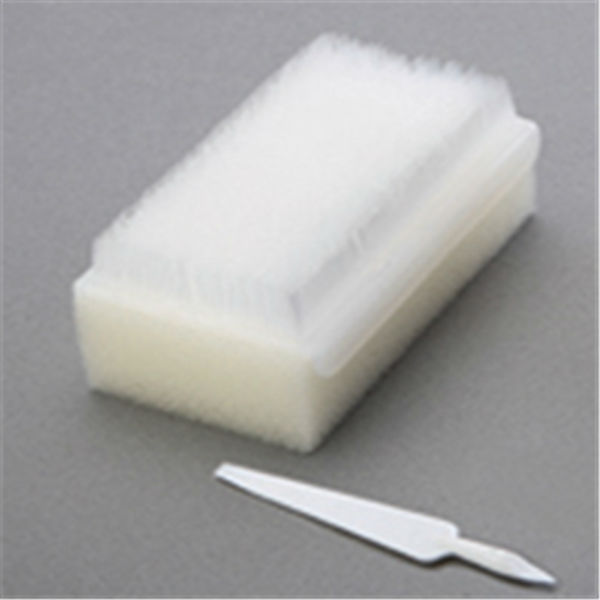 Disposable Surgical Nail Brush For Single Use